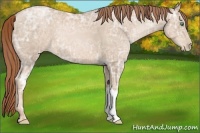 Horse Color:Smoky Black Ice Pearl 