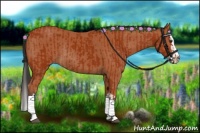 Horse Color:Bay Sabino Rabicano  and Bay Sabino Splash Rabicano 