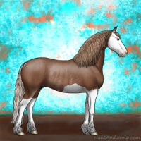 Horse Color:Chestnut Splash Rabicano 