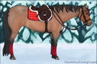 Horse Color:Bay Roan 