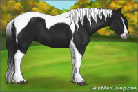 Horse Color:Gray Black Splash Tobiano 