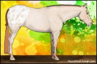 Horse Color:Buckskin Roan Pearl Blanket 