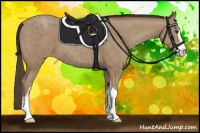 Horse Color:Classic Champagne Sabino