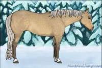 Horse Color:Silver Buckskin Dun