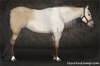 Horse Color:Bay Roan Dun Rabicano 