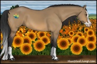 Horse Color:Bay Dun Splash 