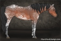 Horse Color:Brown Ice 