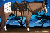 Horse Color:Chocolate Brown Dun Splash Appaloosa Brindle 