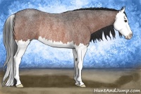 Horse Color:Brown Roan Sabino Splash Rabicano