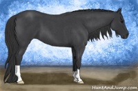 Horse Color:Blue Roan 