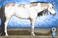 Horse Color:White Spotted Buckskin Roan Dun Frame 