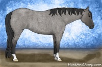 Horse Color:Grullo Roan 