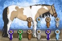 Horse Color:Bay Dun Tobiano 