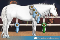 Horse Color:White Spotted Silver Buckskin Splash Tobiano Frame Appaloosa Rabicano