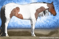 Horse Color:Bay Roan Tobiano