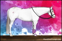 Horse Color:Liver Chestnut Sabino 