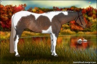 Horse Color:Liver Chestnut Sabino Tobiano Rabicano