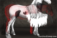 Horse Color:Black Splash Tobiano 