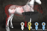 Horse Color:Brown Roan Splash