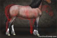 Horse Color:Bay Roan Rabicano 