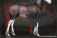 Horse Color:Blue Roan Splash Rabicano 