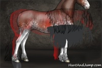 Horse Color:White Spotted Brown Rabicano 