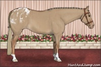 Horse Color:Red Dun Mushroom Appaloosa Brindle