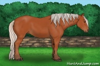 Horse Color:Silver Brown 