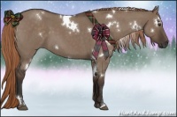 Horse Color:White Spotted Liver Red Dun Roan 