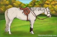 Horse Color:Smoky Creme 