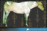 Horse Color:Watercolor White Spotted Brown 