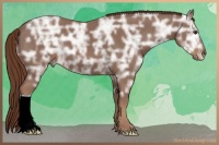 Horse Color:Chestnut Ice 