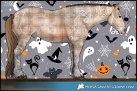 Horse Color:Plaid  Bay Ice 