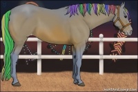 Horse Color:Painted Watercolor Bay Appaloosa 