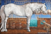 Horse Color:Platinum White Spotted Chocolate Silver Brown Pearl Onyx Sabino Splash  and Platinum White Spotted Chocolate Buckskin Pearl Onyx Splash Tobiano 