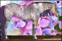 Horse Color:Nacre Brown Dun Sabino Rabicano and Nacre White Spotted Sable Champagne Onyx