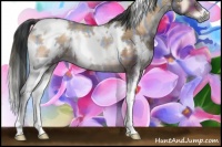 Horse Color:Plaid  White Spotted Brown Onyx 