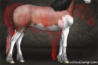 Horse Color:Brown Roan Splash 