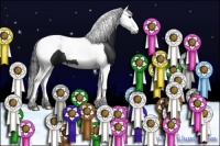 Horse Color:Black Splash Tobiano 