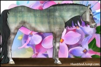 Horse Color:Plaid Brown Onyx Sabino