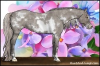 Horse Color:White Spotted Silver Grullo Roan Frame 