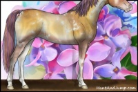 Horse Color:Painted White Spotted Gold Champagne Onyx 