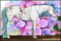 Horse Color:Painted Liver Chestnut Sabino 