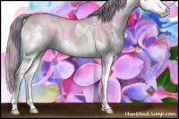 Horse Color:Watercolor Amber Champagne Onyx Sabino Splash 