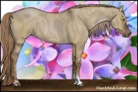 Horse Color:Liver Red Dun Sabino Rabicano 