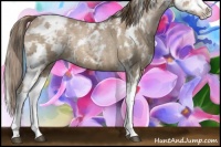 Horse Color:Liver Chestnut Ice Pearl Sabino 