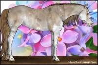 Horse Color:Liver Chestnut Ice Sabino Splash 
