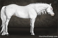 Horse Color:White Spotted Silver Smoky Creme Chinchilla 