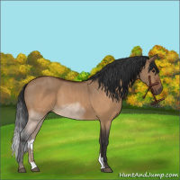 Horse Color:Brown Roan Dun Rabicano Brindle