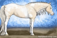 Horse Color:Palomino Roan Pearl Splash Tobiano 